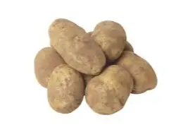 PAPA de kiwi-e-mark