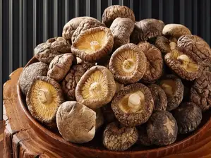 SHIITAKE (LENTINULA EDODES) de La Naturista