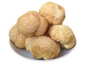 MELENA DE LEÓN (hericium erinaeus) de La Naturista
