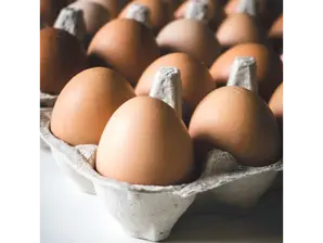 HUEVOS XL DE GALLINAS LIBRES DE JAULA de LA TIENDITA NATURAL