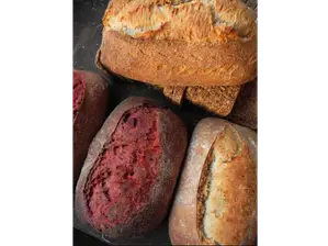 HOGAZAS DE MASA MADRE NATURAL de LA TIENDITA NATURAL