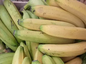 Naranjas para Jugo 5k de la-yuyera-almacen-natural-y-nodo-utt