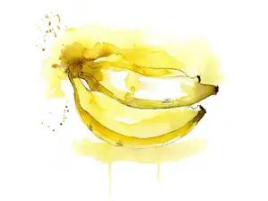 BANANA BOLIVIA de LA PROVEEDURIA