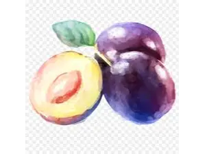 CIRUELA KG de LA PROVEEDURIA