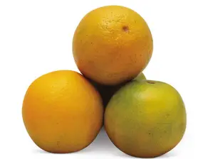 Naranja p/ jugo de Los Gringos - Solo calidad