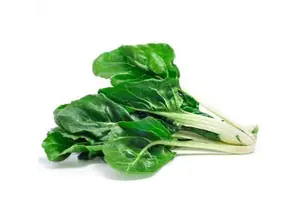 ACELGA LAVADA X UN. de Maracuya
