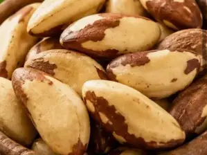Nuez Brasil (castaña para) de Matcha
