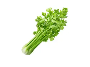 Apio de Mercato Verde