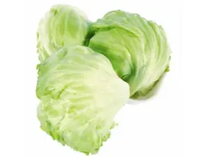 Lechuga Repollada de Mini Feria Don Pedro