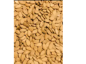 Almendras Non Pareil medianas x1kg de Tienda Natural Sil