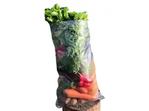 Bolsón Agroecológico de Verduras de Estación 8 kg de Nodo Movida Ciudad