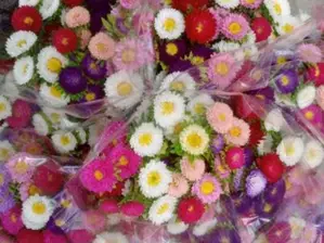 Ramo de flores de Nodo Movida Ciudad
