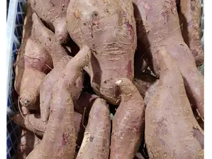 Arvejas de Origen verde