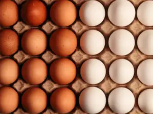 Huevos de PasiLLoKiosko