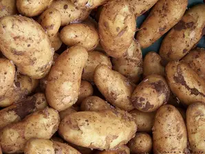 🥔 Papa blanca orgánica 1k de Plan orgánico - Ituzaingó