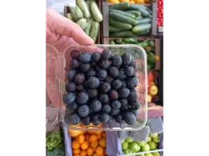🧡Mandarina Agroecológica de Plan orgánico - Ituzaingó