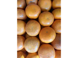 🍊Naranja orgánica de Plan orgánico - Ituzaingó