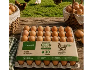 Maple de Huevos de Plenta