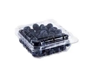 Arandanos Bandeja de Porto Belo