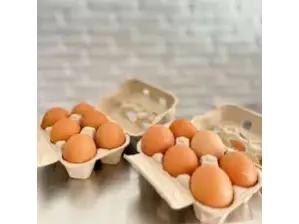 Huevos sueltos de Sr. Giaco - Punto Natural