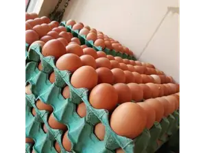 Huevos grandes 2.2kg de Sr. Giaco - Punto Natural