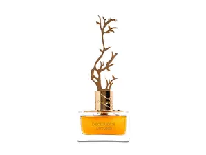 Eclaire EDP 100 ml de Romance Perfumeria