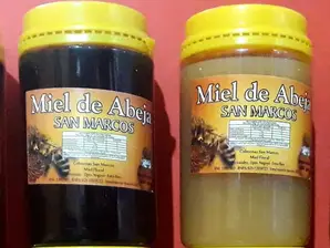 PACK 500gr MIEL SAN MARCOS POR 20 UNIDADES - LIQUIDA O CREMOSA de Distribuidora San Diego