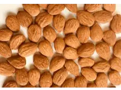 ALMENDRA GUARA de Distribuidora San Diego