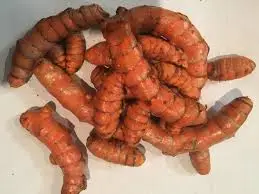 Curcuma (Raíz) de Sol_ari