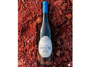 OVUM | Cabernet Franc de Terruño Casa de Vinos