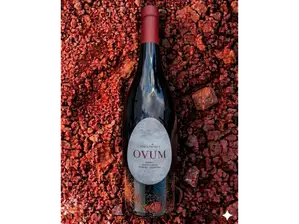 OVUM | Malbec de Terruño Casa de Vinos