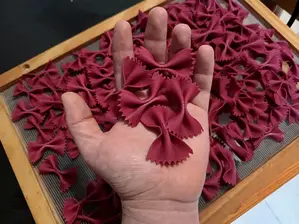 Garganelli de Tristan Pasta Fresca