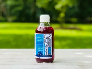 Kvass de Remolacha con Naranja, Jengibre y Canela de Urania Mayorista
