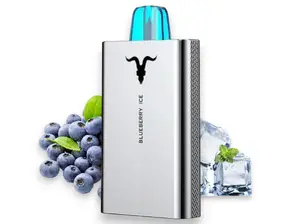 Ignite v250 Recargable 25.000 puff 5% - BLUEBERRY ICE de VaPpER'S