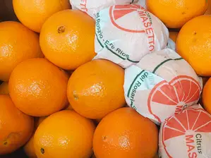 Naranja de Ombligo de Verd-Frut Lourdes