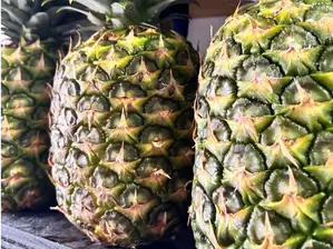 Piña de Verdulería Aguaribay