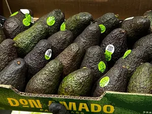 Palta Jujuy Grande de Verdulería Aguaribay