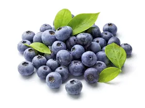 Arándanos x 125 grs de Don Tomas - Valle Escondido