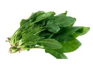 espinaca de Verdulería Quinoto