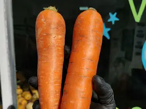 Zanahoria de VerduleriaRyE