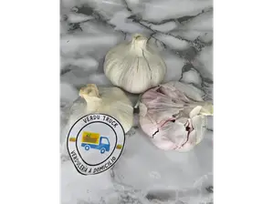 AJO de VERDUTRUCK