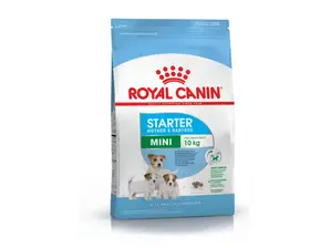 Royal Canin Mini Starter de Veterinaria Centauro