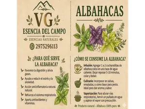 ALBAHACA de VG Esencia del campo