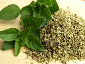OREGANO 50GRS de Vida en Verde