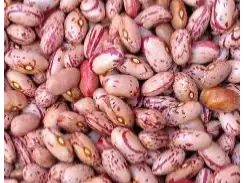 Porotos Cramberry de Vida Sana - Almacen Natural