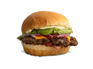 Hamburguesa Simple con Papas de Wonder Hamburguesería - Río Cuarto