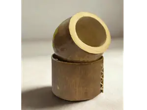 COQUITO CRIOLLO de Yerbas_chingo