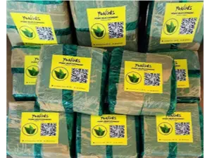 Paceña (De Perú) de Yungas hojas seleccionadas